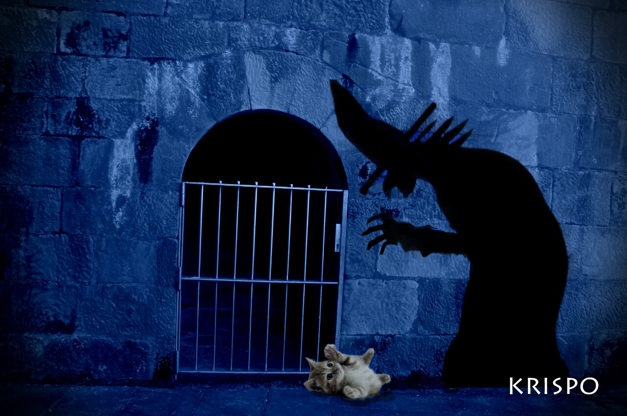 sombra o silueta de bruja atrapando un gato por la noche