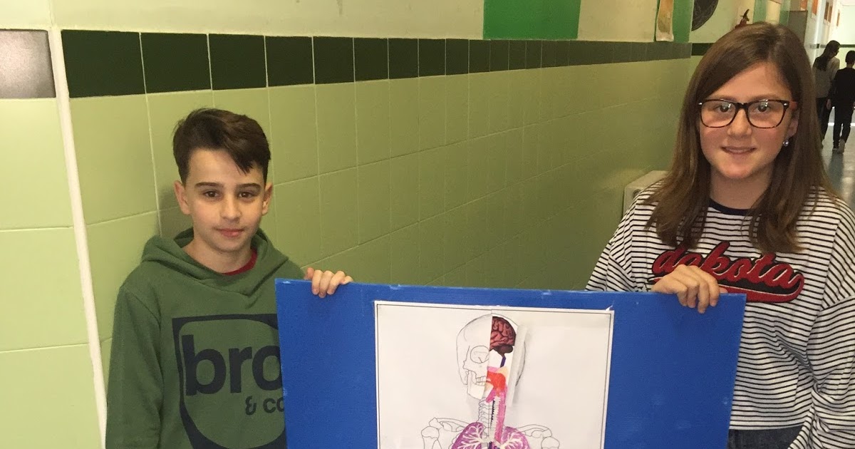 SCIENCE CORNER FOR SCIENCE FANS: Human Body Project!