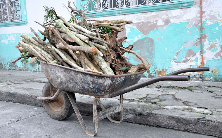 Carreta con leña del campo - Wagon with wood from the fields