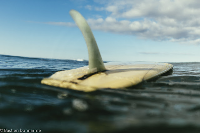 surfin estate blog shop surfshop culture surf surfboard hossegor biarritz landes paysbasque shaper clothing vetements cafe singlefin twin fin trueames true ames bingsurfboard james parry bastion bonnarme pull marin marinière bretagne madeinfrance longboard log