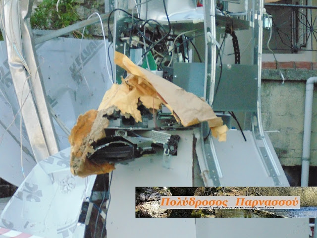 DSC02616 | Lamianow.gr