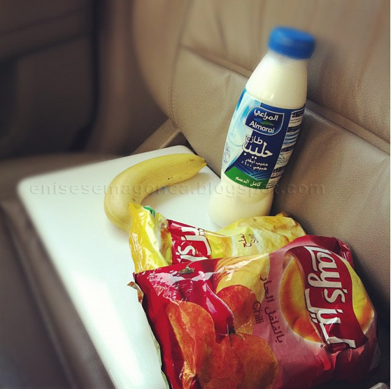 ARAPÇA ARABİC LANGUAGE SÜT