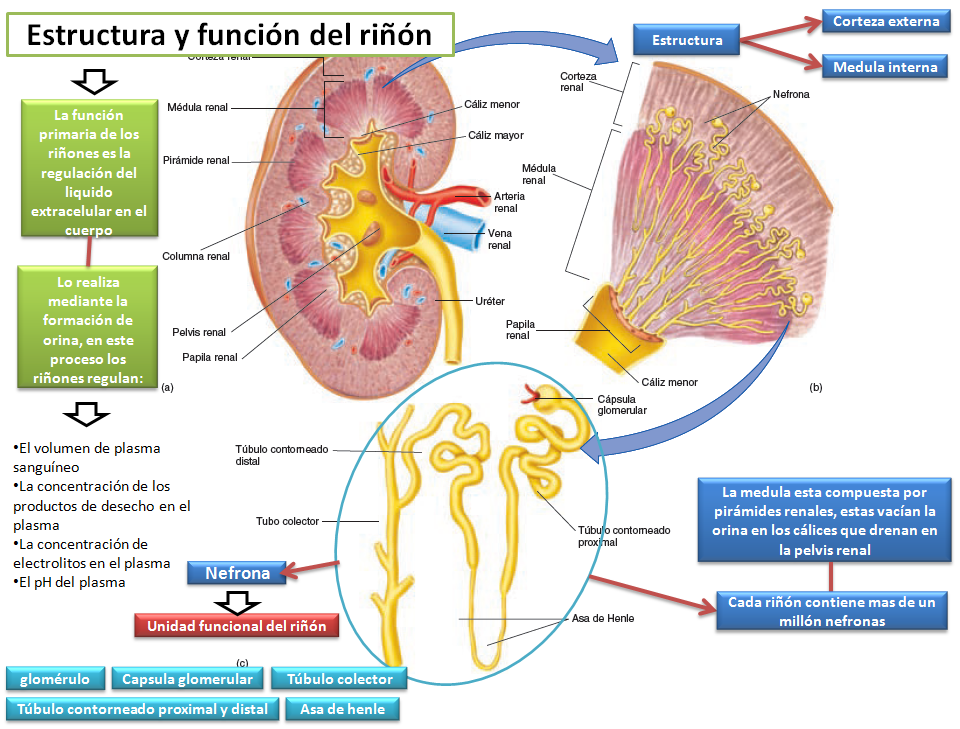 Víctor Manuel Martínez Beltrán grupo 5