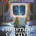 Download Christmas Captive (Men of Valor, 6) AudioBook by Johnson, Liz (Mass Market Paperback)