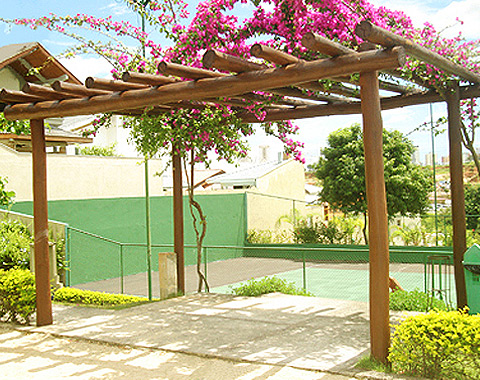 Renascendo...: Pergolados