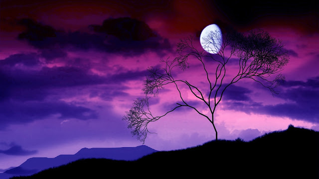 hermoso paisaje de una noche con luna llena