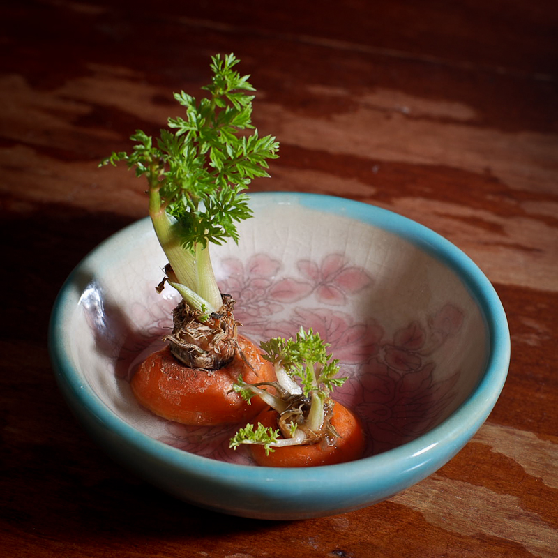 Garden Fairy's Cafe Growing plants from kitchen scraps Organic carrots