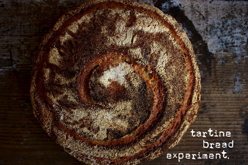 Tartine Bread Experiment