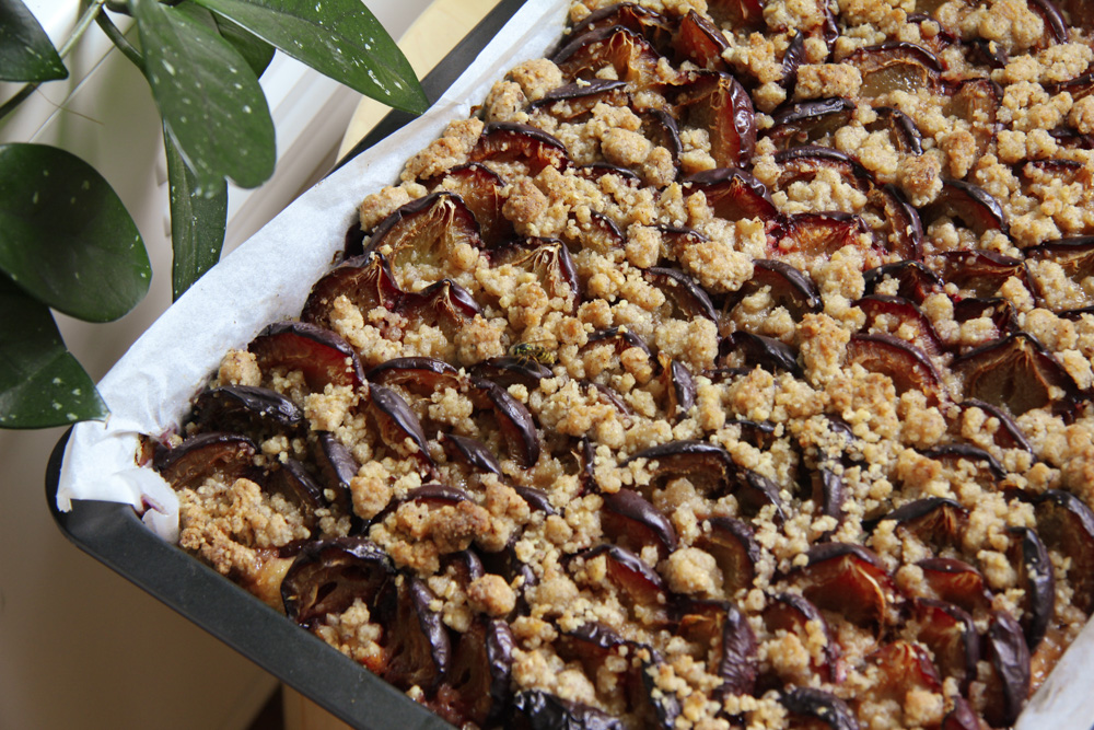 Krebsen und Aluette: Zwetschkenkuchen mit Haselnussstreuseln Krebsen und Aluette: Zwetschkenkuchen mit Haselnussstreuseln