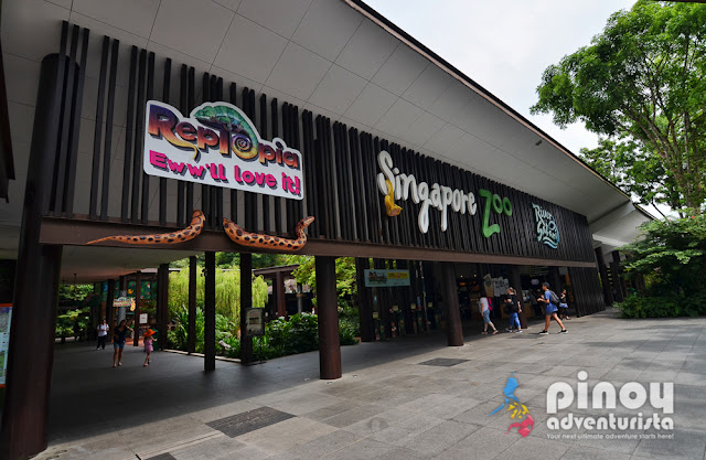 Travel Guide 2017 Singapore Zoo and Night Safari