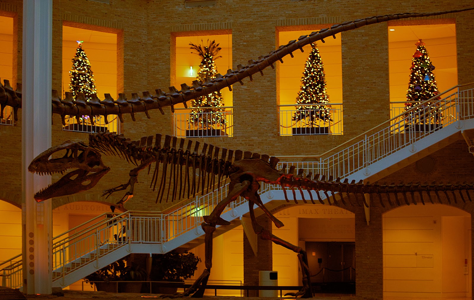 Fernbank Museum Winter Wonderland Holiday Schedule