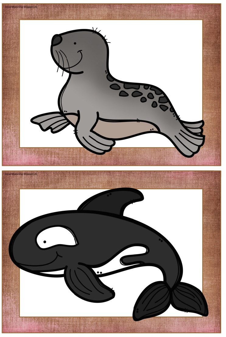 Ideenreise Flashcards Zoo Animals vrogue.co