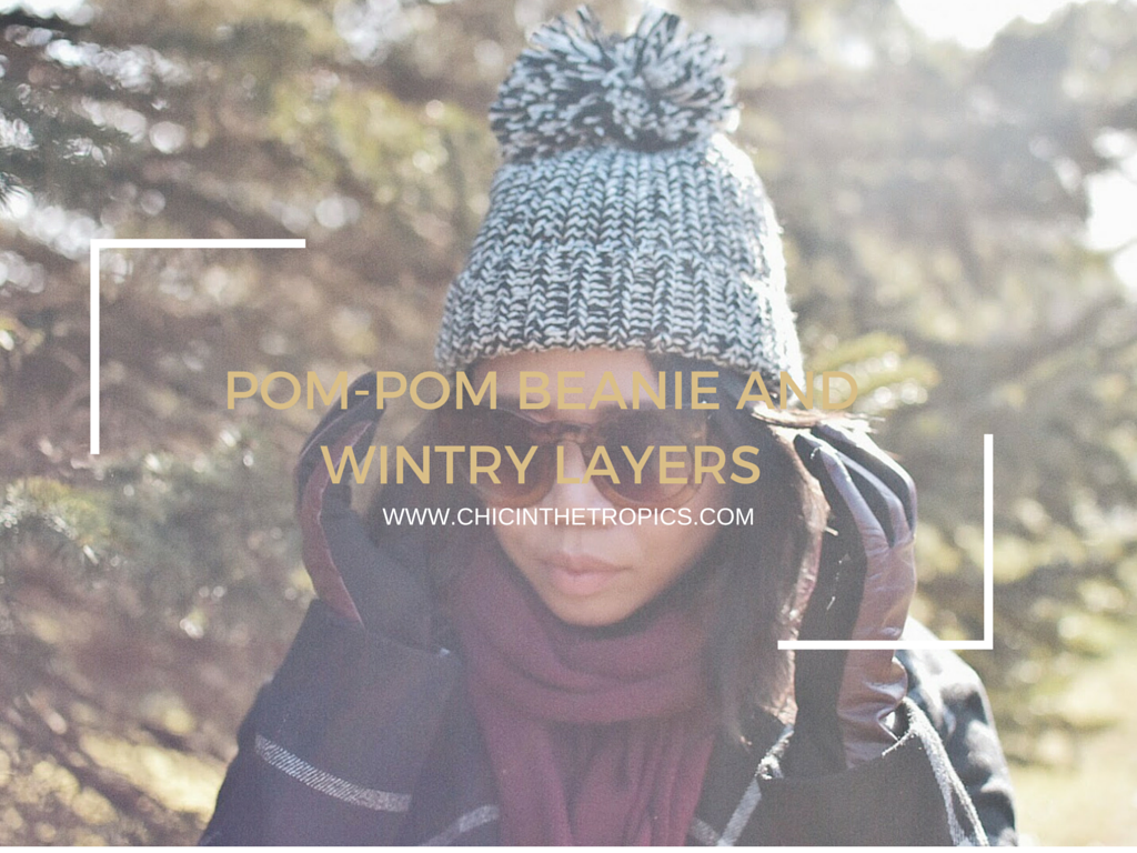 pompom beanie, women winter, michigan fashion blogger, winter trends 2015
