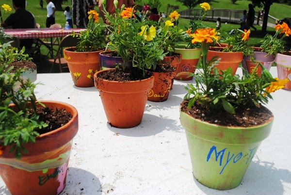 Garnish with painted stones