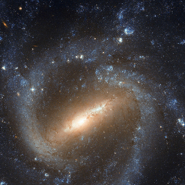 Hubble image of Barred Spiral Galaxy NGC 1073
