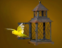 knowledge equals youth power