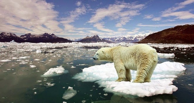 hielo-mar-ártico-nivel-bajo-medio-ambiente