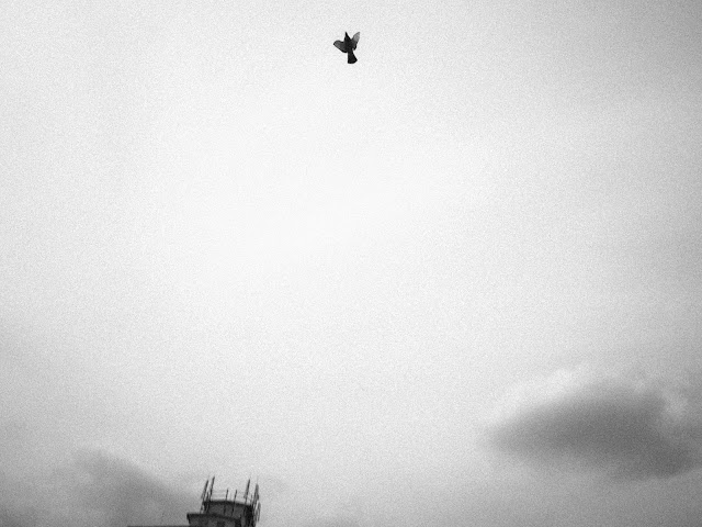 Kojetin documentary photography