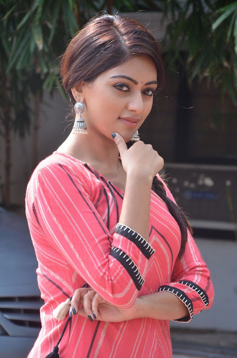 Anu Emmanuel at Majnu Success Celebration
