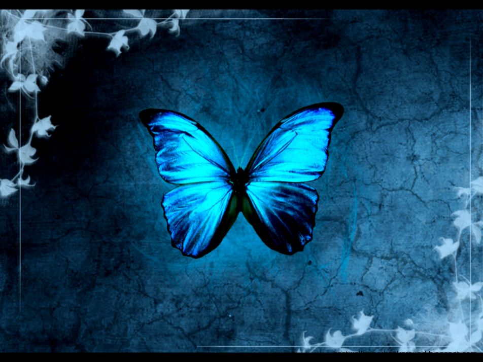 Free Blue Butterfly