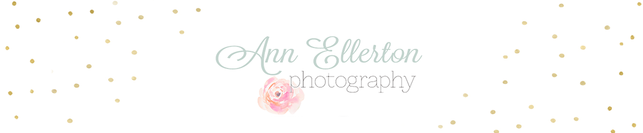 Ann Ellerton Photography