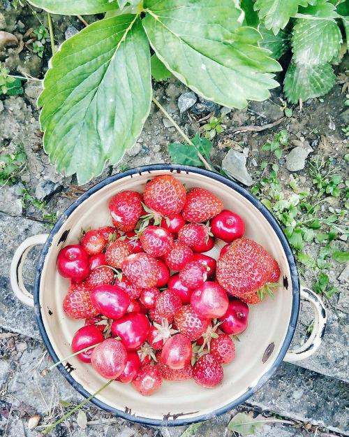 INSPOBOOK BENEFITS OF HOMEMADE FOOD