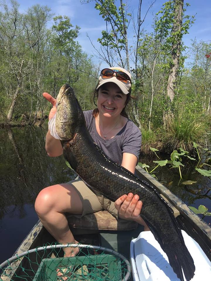 A View from the Beach Virginia Produces World Record Snakehead