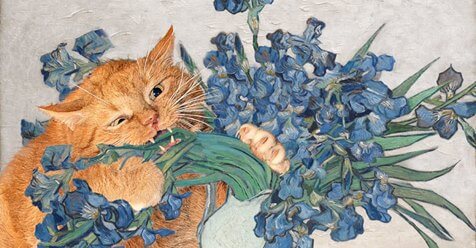 10+ Fat Cat Art: I Insert My Ginger Cat Into Famous Paintings