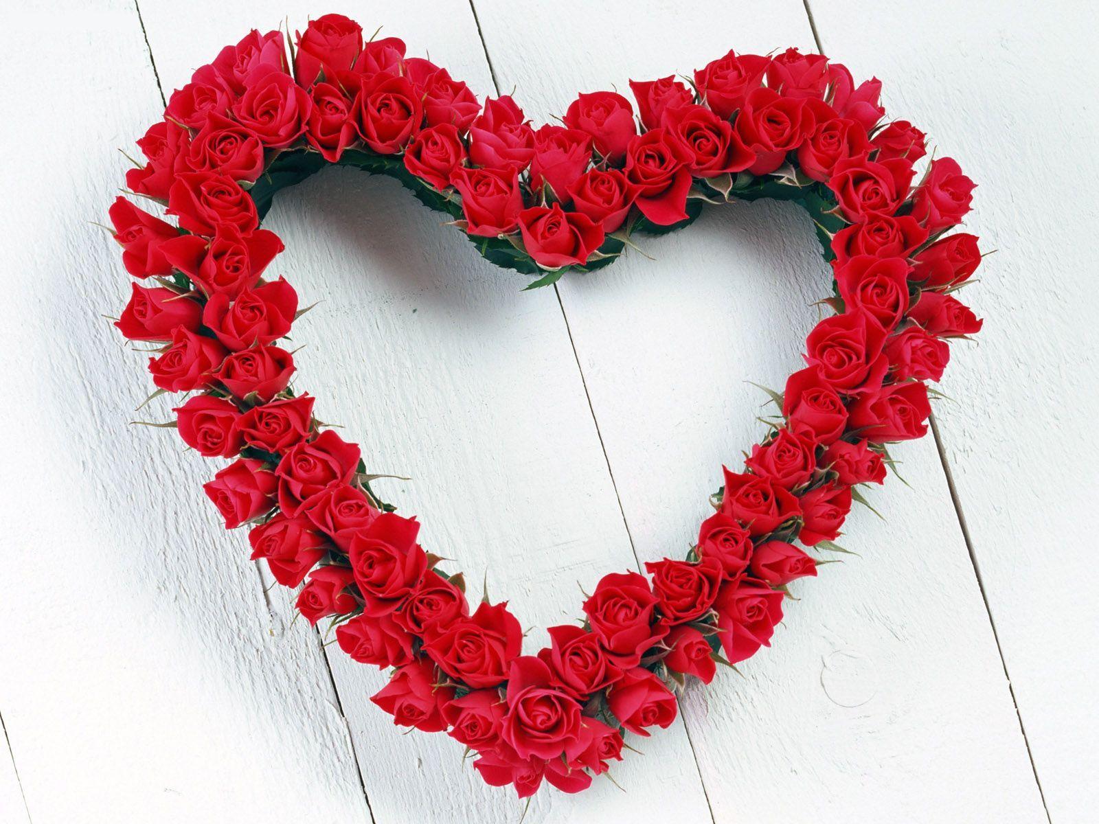 I Am Roses Challenge Blog: February IARCC "Love Is..."
