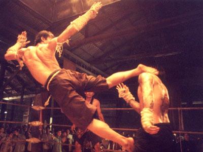 Foto dan Video Ong Bak: Muay thai Warrior