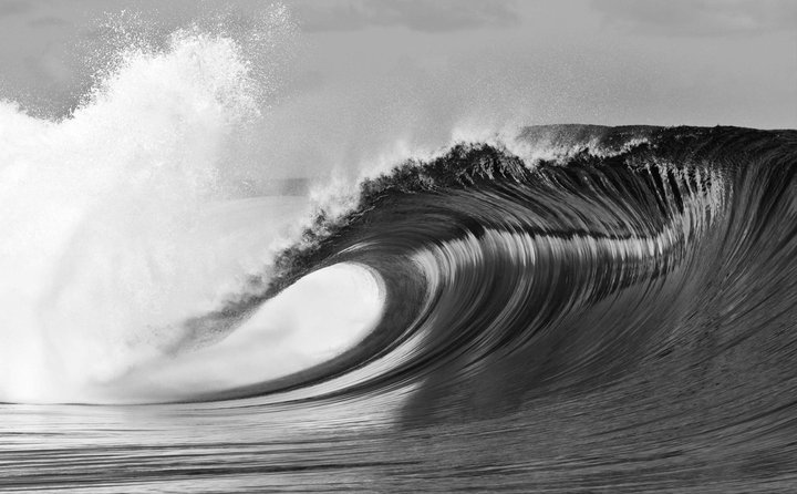 SEARCHING FOR PARADISE: PHOTO OF THE WEEK: PERFECT WAVE
