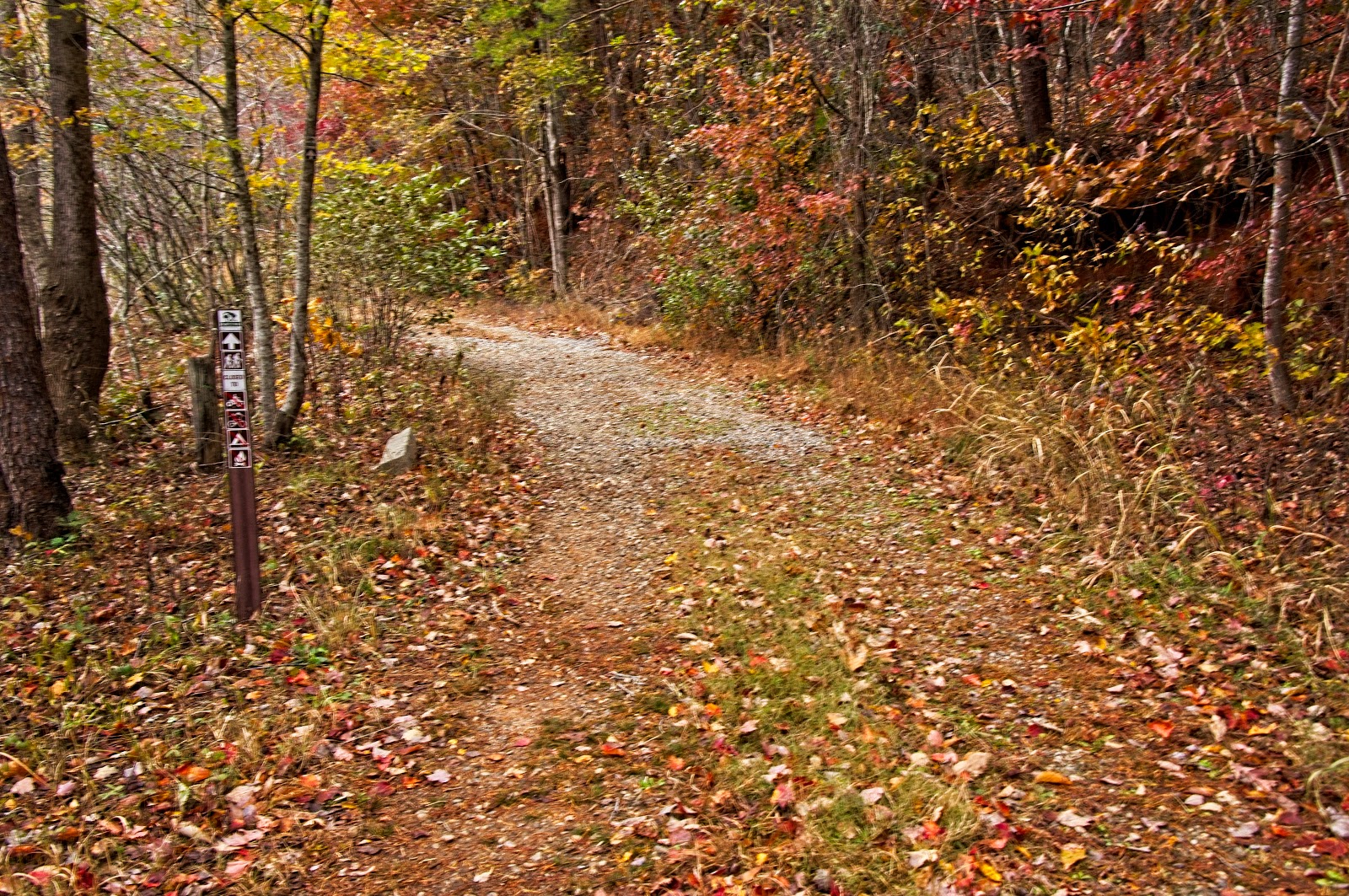 Hiking From The Blue Wall Preserve To Vaughns Gap