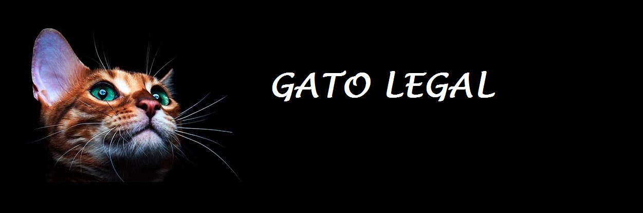 Gatos 