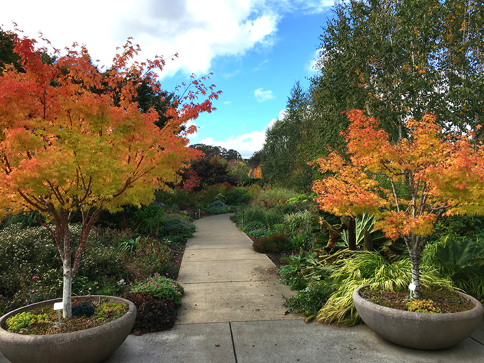 Photographing Oregon Oregon Garden