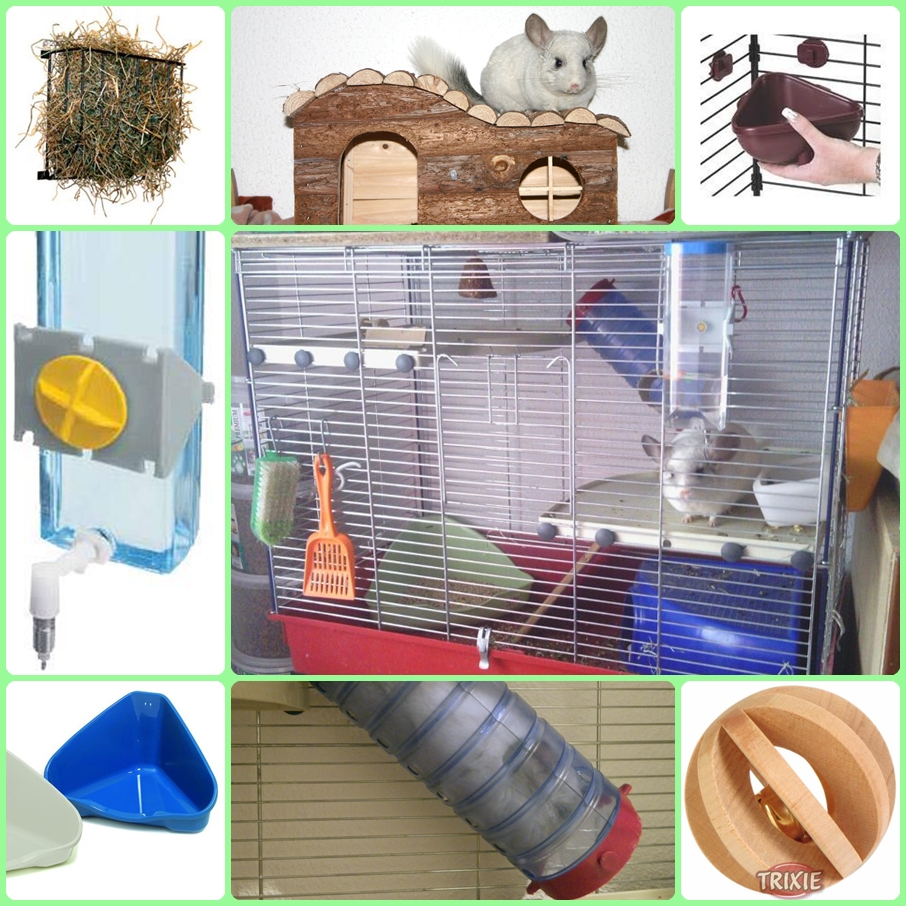 La Casita de Madera: Chinchillas (Info)
