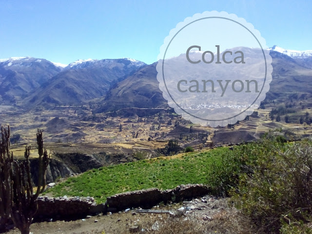 trekking al Colca Canyon. panorama sulla valle