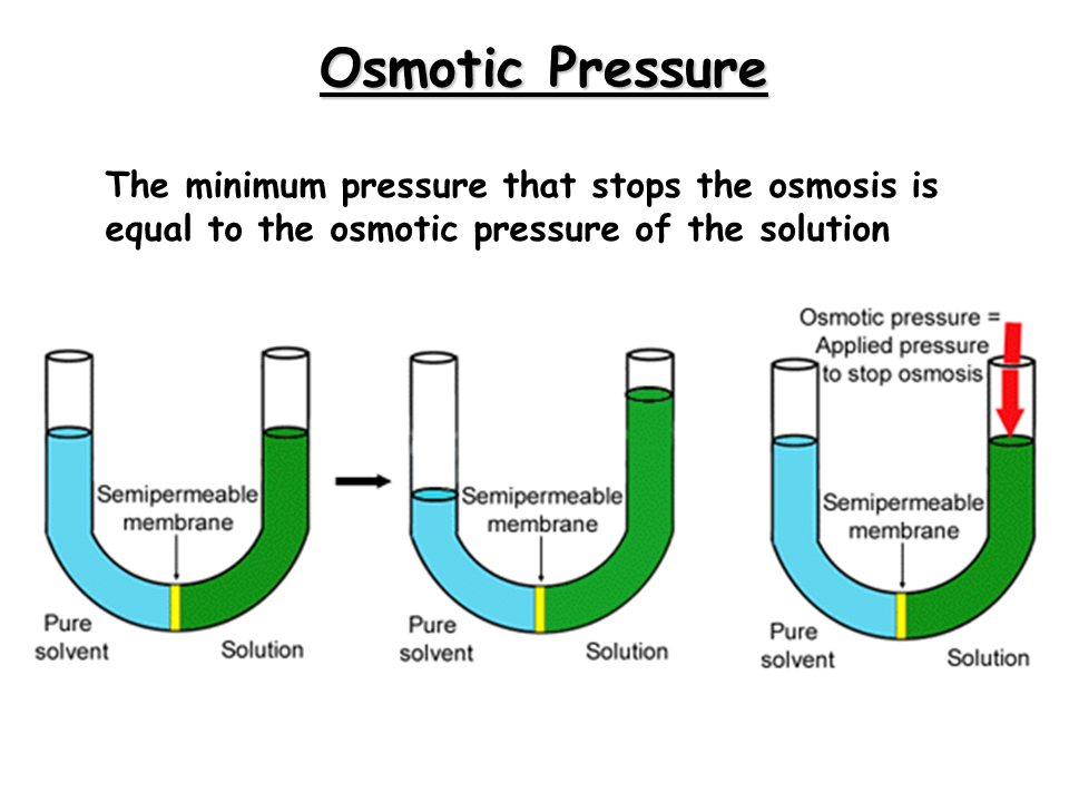 PHARMACEUTICAL MICROBIOLOGY Osmotic Pressure