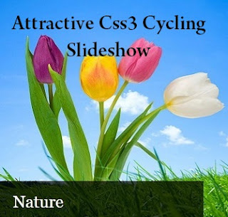 Attractive+Css3+Cycling+Slideshow+For+Blogger
