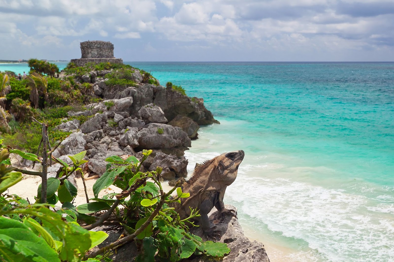 GAIA UN MUNDO MÁGICO Tulum, México. Parque Natural.