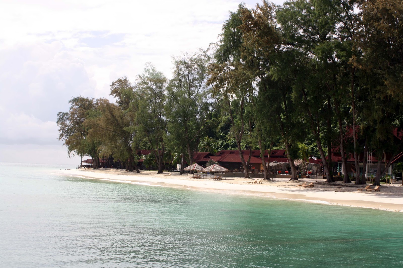 Minding My Garden: Enchanting Pulau Tinggi in Johor