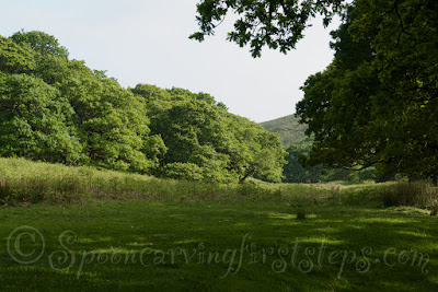 piles-copse.piles-copse-dartmoor