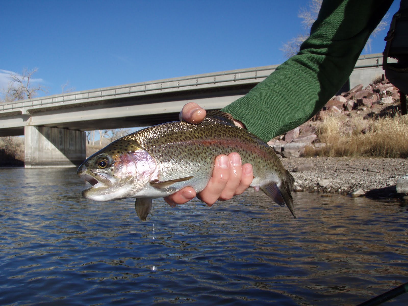 The Flyfishing mind of Jeff Allen On the River Arkansas, Pueblo, CO