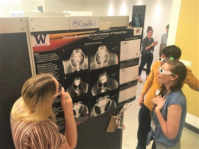 Kayla Hall showing her poster to Kelsi Rutledge and Jules Chabain, all wearing 3-D glasses
