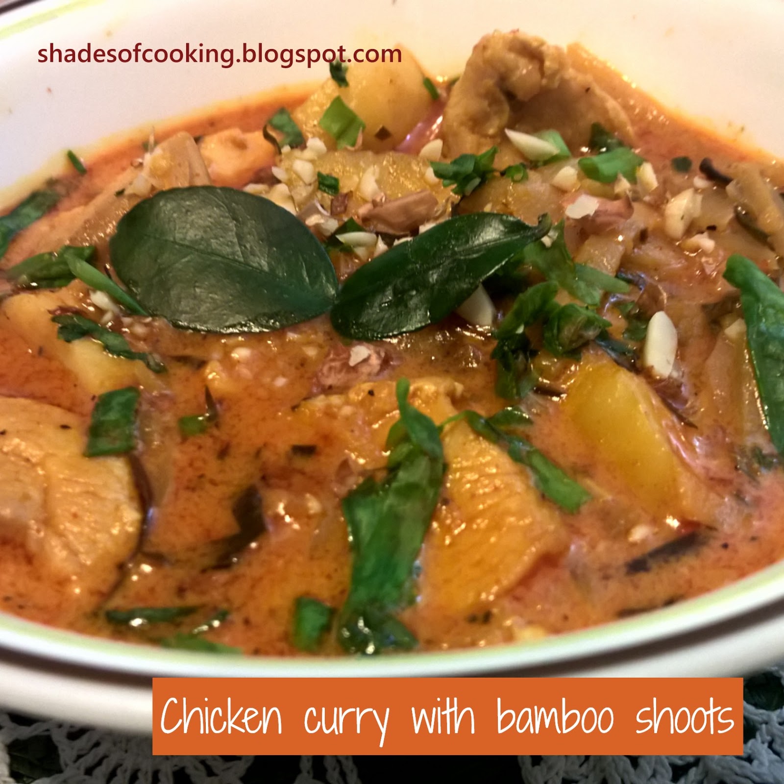 Chicken curry with Bamboo shoots. Shades of Cooking