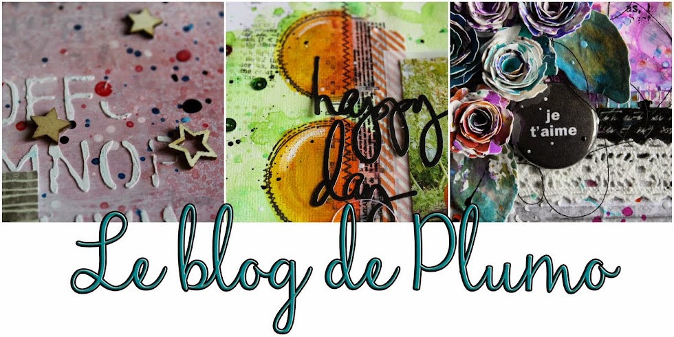 Le Blog de Plumo