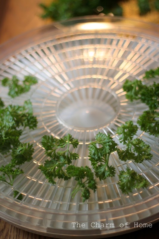 Herb Drying: The Charm of Home