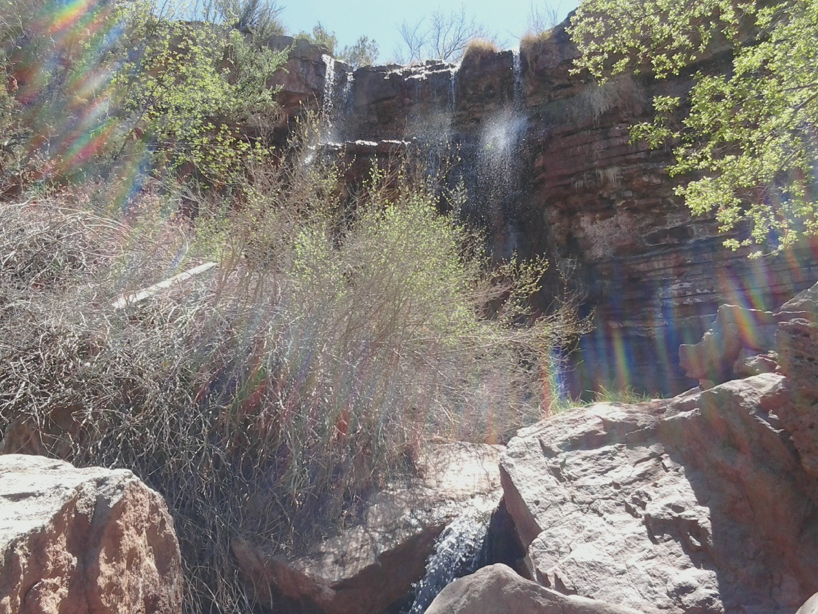 Southern New Mexico Explorer Bridal Veil Falls Trail (FT129)Lincoln