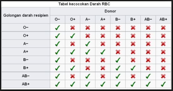 Pada transfusi darah yang menerapkan sistem ABO dan rhesus, maka