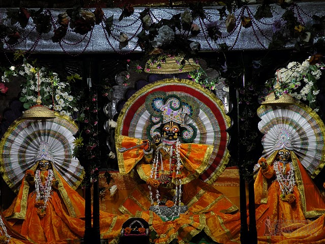 Image result for sri radha gopinath temple vrindavan