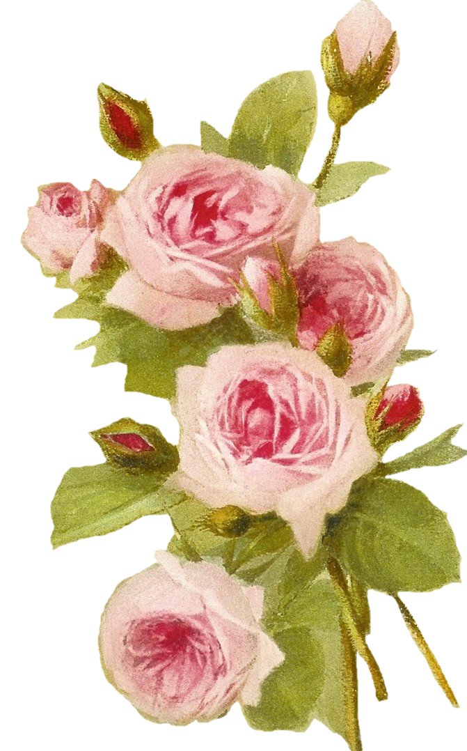 Sweetly Scrapped: Free Vintage Roses